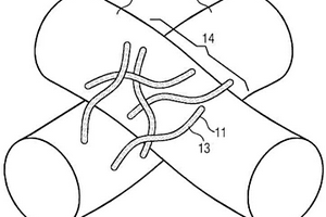 具有半导体或非导体纳米颗粒的电绝缘纳米复合材料，该纳米复合材料的用途及其制备方法