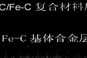 大断面WCp/Fe-C复合材料-球铁复合结构辊环