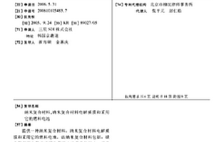 纳米复合材料,纳米复合材料电解质膜和采用它的燃料电池