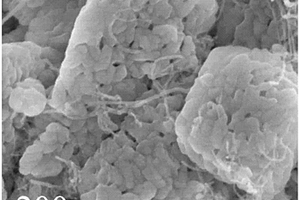 磷酸锰锂和碳纳米管/纤维的复合材料及其制备方法、锂离子二次电池正极、电池
