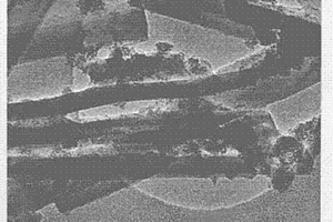 磁性颗粒-凹凸棒石纳米复合材料及其铁盐水解的制备方法