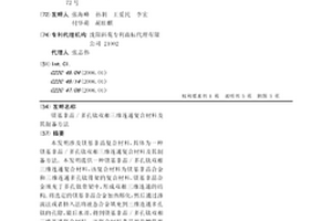 镁基非晶/多孔钛双相三维连通复合材料及其制备方法