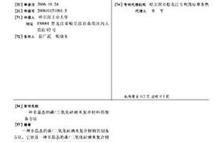 非晶态的碳/二氧化硅纳米复合材料的制备方法