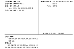 含有核@壳结构填料的高介电复合材料及其制备方法