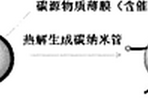 碳纳米管增强金属基复合材料及其原位制备方法
