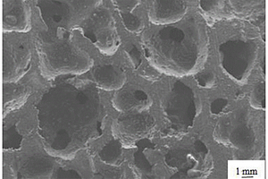 碳化硼增强泡沫铝复合材料及其制备方法