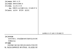 纳米四氧化三铁包覆碳纳米管磁性复合材料的制备方法