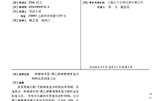 碳纳米管/聚乙烯咪唑纳米复合材料及其制备方法