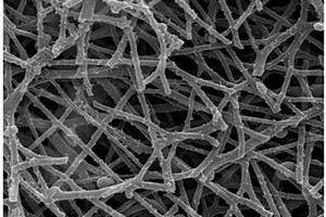 纳米线铁酞菁/碳纳米纤维异质结复合材料的制备方法