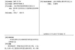原位浇铸尼龙/碳纳米管纳米复合材料及其制备方法