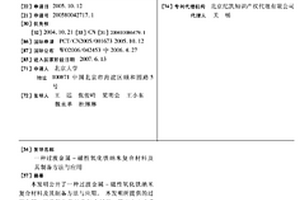 过渡金属-磁性氧化铁纳米复合材料及其制备方法与应用
