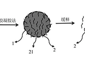 缓释消泡型纳米多孔复合材料及其制备方法和应用