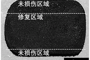 炭/炭复合材料SiC涂层的修复方法