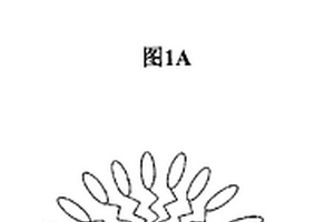 光敏复合材料,三维存储材料和记录介质,光功率限制材料和元件,光固化材料和立体平版印刷术系统,以及多光子荧光显微镜用荧光材料和多光子荧光显微镜