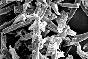 改性生物质纤维增强聚乳酸复合材料及其制备方法