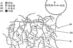 纤维增强水凝胶复合材料和形成纤维增强水凝胶复合材料的方法