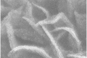 具有异质结结构的碳纳米纤维、二硫化锡、二氧化锡和硫复合材料的制备方法及应用