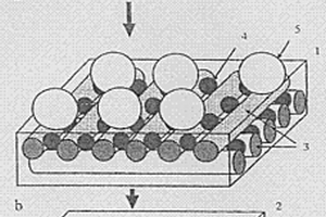 改良的生物复合材料