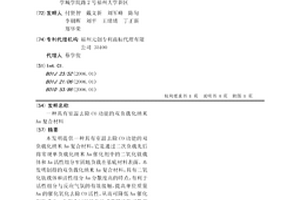 具有室温去除CO功能的双负载化纳米Au复合材料