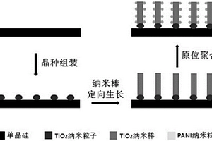 基于三元层级组装的硅-二氧化钛-聚苯胺复合材料及应用