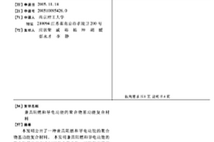 兼具阻燃和导电功能的聚合物基功能复合材料