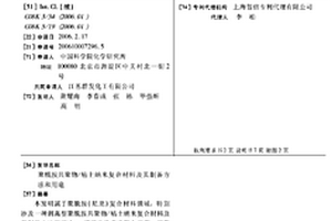 聚酰胺共聚物/粘土纳米复合材料及其制备方法和用途