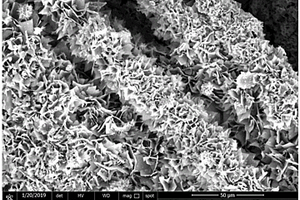 3R-MoS<sub>2</sub>/碳布复合材料的制备方法及其应用