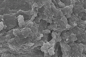 一锅法制备UIO-66-NH<sub>2</sub>/功能性单体复合材料的方法及其在吸附抗生素中的应用