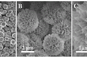 PtCo纳米合金修饰的Co<Sub>3</Sub>O<Sub>4</Sub>-SiO<Sub>2</Sub>花状多级复合材料及其制备方法