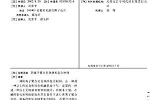 阴离子聚合尼龙纳米复合材料