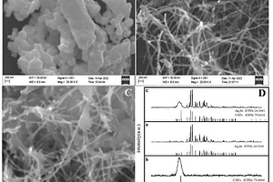 Ag2Se-碳纳米纤维复合材料及其制备方法与在检测左氧氟沙星含量中的应用