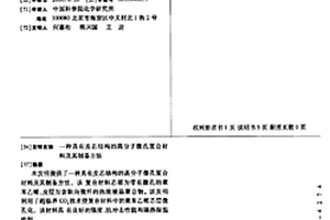 具有皮芯结构的高分子微孔复合材料及其制备方法