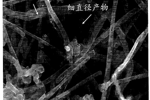 含有碳纤维的复合材料