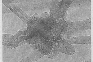 碳纤维结合体及使用其的复合材料