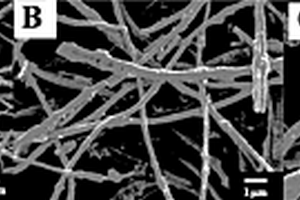 静电纺丝与高温碳化法制备氧化锌-碳纳米纤维复合材料及其修饰电极的方法