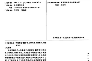 剥离型硅橡胶/粘土纳米复合材料及其制备方法