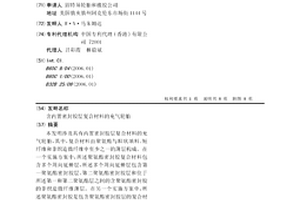 含内置密封胶层复合材料的充气轮胎