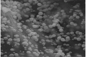 纳米Cu-Fe<Sub>3</Sub>O<Sub>4</Sub>@花生壳炭复合材料及其制备方法和其应用