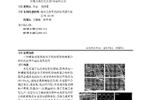 螺旋状镍铁超分子网络框架纳米复合材料的超声合成法及其应用