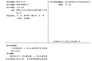 过渡金属-γ-Fe2O3纳米材料及其制备方法与应用