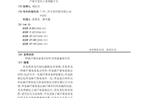 碳纤维布基复合材料及其制备和应用