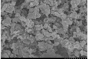 MIL-100(Fe/Co)衍生磁性复合材料催化降解水中氯霉素的方法及应用