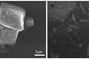 CuO/g-C<Sub>3</Sub>N<Sub>4</Sub>复合材料的制备方法