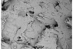 弹性体及环氧类小分子协同增韧-增强改性植物纤维基生物降解复合材料及其制备方法