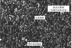 聚羟基烷酸酯复合材料及其制备方法