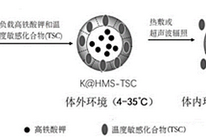 温度响应性缓释氧气的纳米复合材料及其制备方法和应用