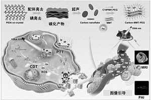 基于二维纳米碳片的复合材料及其制备与应用