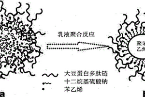 大豆蛋白质/乳液聚合高分子纳米复合材料及其制备方法和应用