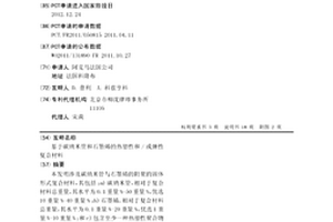 基于碳纳米管和石墨烯的热塑性和/或弹性复合材料