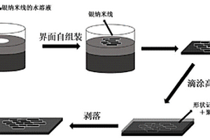 基于有序导电网络结构的自愈合传感高分子复合材料及其制备方法